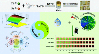 Graphical abstract: Luminescent porous metal–organic gels for efficient adsorption and sensitive detection of chlortetracycline hydrochloride assisted by smartphones and a test paper-based analytical device