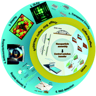 Graphical abstract: Controllable patterning of nanoparticles via solution transfer processes