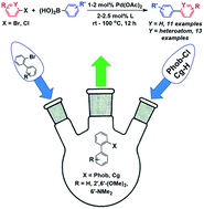 Graphical abstract: Evaluation of P-bridged biaryl phosphine ligands in palladium-catalysed Suzuki–Miyaura cross-coupling reactions