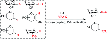 Graphical abstract: Advances in Pd-catalyzed C–C bond formation in carbohydrates and their applications in the synthesis of natural products and medicinally relevant molecules