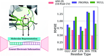 Graphical abstract: Prediction of protein pKa with representation learning