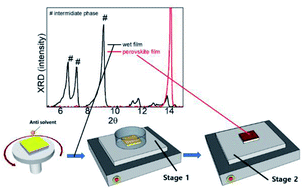 Graphical abstract: Sensitivity of mixed cation/halide perovskites to evaporation kinetics of DMSO at an early stage