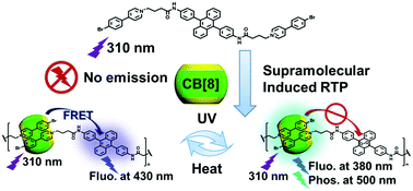 Graphical abstract: A tunable phosphorescence supramolecular switch by an anthracene photoreaction in aqueous solution