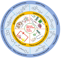 Graphical abstract: Recent advances in small molecular near-infrared fluorescence probes for a targeted diagnosis of the Alzheimer disease