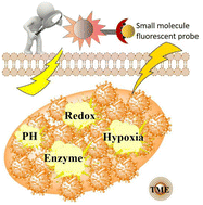 Graphical abstract: Progress in the past five years of small organic molecule dyes for tumor microenvironment imaging