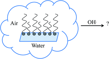 Graphical abstract: Measurement of gas-phase OH radical oxidation and film thickness of organic films at the air–water interface using material extracted from urban, remote and wood smoke aerosol