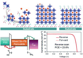 Graphical abstract: Optimized carrier extraction at interfaces for 23.6% efficient tin–lead perovskite solar cells