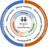 Graphical abstract: Carbon nanomaterial-based membranes for water and wastewater treatment under electrochemical assistance