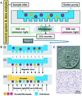 Graphical abstract: Highly accurate multiprotein detection on a digital ELISA platform