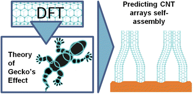 Graphical abstract: Capillary-force-driven self-assembly of carbon nanotubes: from ab initio calculations to modeling of self-assembly