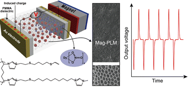 Graphical abstract: Magnetic-field-controlled counterion migration within polyionic liquid micropores enables nano-energy harvest