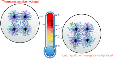 Graphical abstract: Next generation strategy for tuning the thermoresponsive properties of micellar and hydrogel drug delivery vehicles using ionic liquids