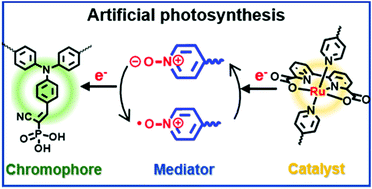 Graphical abstract: Photoelectrochemical water oxidation improved by pyridine N-oxide as a mimic of tyrosine-Z in photosystem II
