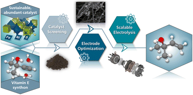 Graphical abstract: Opening the pathway towards a scalable electrochemical semi-hydrogenation of alkynols via earth-abundant metal chalcogenides