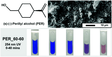 Graphical abstract: Investigating the viability of sulfur polymers for the fabrication of photoactive, antimicrobial, water repellent coatings