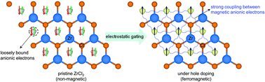 Graphical abstract: Formation of magnetic anionic electrons by hole doping