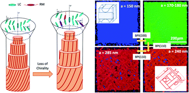 Graphical abstract: Synergistic self-assembly of rod-like monomers in blue phase liquid crystals for tunable optical properties