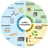 Graphical abstract: Gold nanocluster composites: preparation strategies, optical and catalytic properties, and applications