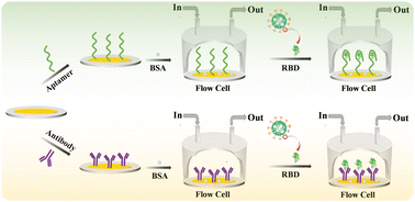 Graphical abstract: A high-frequency QCM biosensing platform for label-free detection of the SARS-CoV-2 spike receptor-binding domain: an aptasensor and an immunosensor