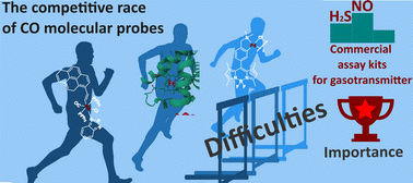 Graphical abstract: The importance of and difficulties involved in creating molecular probes for a carbon monoxide gasotransmitter