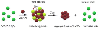 Graphical abstract: An off–on fluorescent nanoprobe for l-cysteine sensing based on the FRET effect