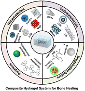 Graphical abstract: Recent advances in composite hydrogels: synthesis, classification, and application in the treatment of bone defects