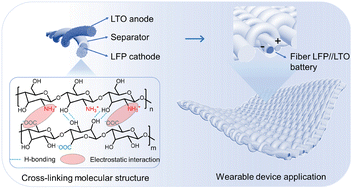 Graphical abstract: High-performance fiber-shaped Li-ion battery enabled by a surface-reinforced self-supporting electrode