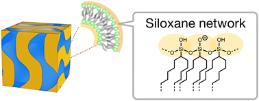 Graphical abstract: Lipid cubic phase with an organic–inorganic hybrid structure formed by organoalkoxysilane lipid