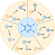 Graphical abstract: Radical reactions enabled by polyfluoroaryl fragments: photocatalysis and beyond
