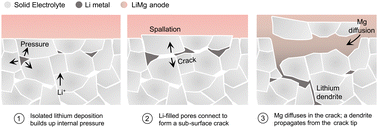 Graphical abstract: Initiation of dendritic failure of LLZTO via sub-surface lithium deposition