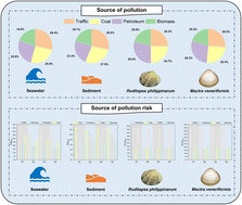 Graphical abstract: Source-specific ecological and health risks of polycyclic aromatic hydrocarbons in the adjacent coastal area of the Yellow River Estuary, China