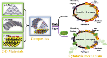 Graphical abstract: Carbon-based two-dimensional (2D) materials: a next generation biocidal agent