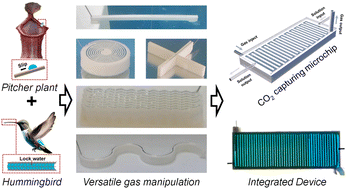 Graphical abstract: Designing a slippery/superaerophobic hierarchical open channel for reliable and versatile underwater gas delivery