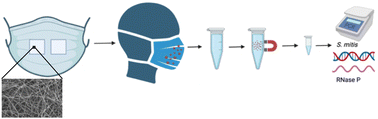 Graphical abstract: A safer framework to evaluate characterization technologies of exhaled biologic materials using electrospun nanofibers