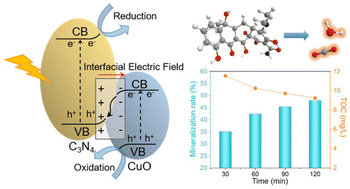 Graphical abstract: Solid-waste-recycled CuO/C3N4 S-scheme heterojunctions for efficient photocatalytic antibiotic degradation