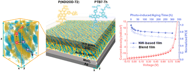 Graphical abstract: Efficient all polymer active layers with long-range ordered 1D p–n nanoheterojunctions confirmed by TEM tomography