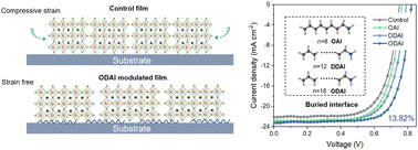 Graphical abstract: Underlayer engineering of grain strain toward efficient and stable tin perovskite solar cells