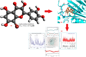 Graphical abstract: α-Glucosidase inhibitory activities of flavonoid derivatives isolated from Bouea macrophylla: in vitro and in silico studies