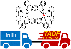 Graphical abstract: Thermally activated delayed fluorescence in a deep red dinuclear iridium(iii) complex: a hidden mechanism for short luminescence lifetimes