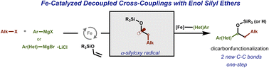 Graphical abstract: Expanding the chemical space of enol silyl ethers: catalytic dicarbofunctionalization enabled by iron catalysis