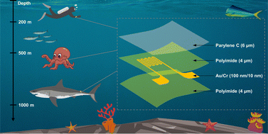 Graphical abstract: Soft, flexible pressure sensors for pressure monitoring under large hydrostatic pressure and harsh ocean environments