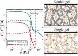 Graphical abstract: Thermoresponsive oil-continuous gels based on double-interpenetrating colloidal-particle networks