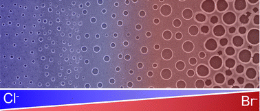 Graphical abstract: Control over the spatial correlation of perforations in silica thin films as a function of solution conditions