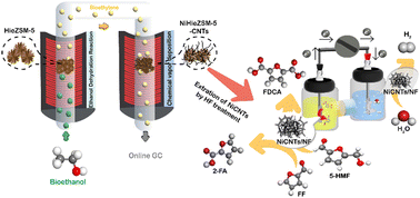 Graphical abstract: Ni-decorated carbon nanotubes (CNTs) derived from ethanol for electrooxidation of furan derivatives featuring H2 production