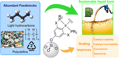 Graphical abstract: New insights for valorization of polyolefins/light alkanes: catalytic dehydrogenation of n-alkanes by immobilized pincer–iridium complexes