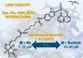 Graphical abstract: Biotin functionalization of 8-hydroxyquinoline anticancer organometallics: low in vivo toxicity but potent in vitro activity