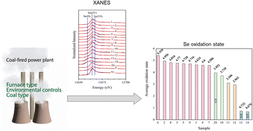 Graphical abstract: Systematic characterization of selenium speciation in coal fly ash