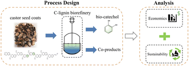 Graphical abstract: A techno-economically feasible and sustainable C-lignin biorefinery