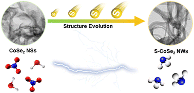 Graphical abstract: Sulfur-regulated CoSe2 nanowires with high-charge active centers for electrochemical nitrate reduction to ammonium