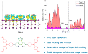 Graphical abstract: Thiadiazolophenanthroline-based hole-transporter for durable and efficient perovskite solar cells: atomic-level insights for performance enhancement
